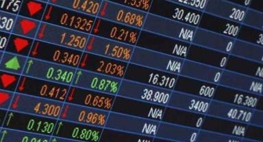 Yatırımcı rehberi (3)