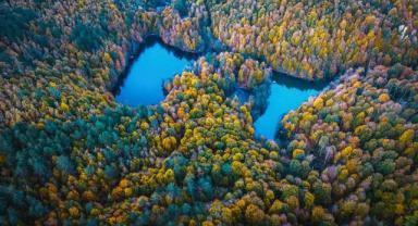 Yedigöller'de sonbahar renkleri