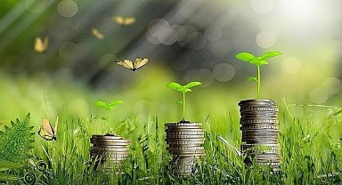 Yeşil dönüşümün finansmanı için Türkiye Yeşil Fonu geliyor