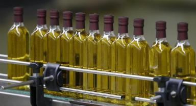 Yunanistan'da fiyatı artan zeytin ve zeytinyağı hırsızların hedefi haline geldi