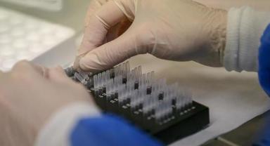 ABD'li genetik araştırma şirketi, yaklaşık 6,9 milyon kullanıcısının bilgilerinin çalındığını açıkladı