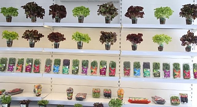 Antalya'da üretilen mini sebze ve yenilebilir çiçeklere yılbaşı dolayısıyla talep arttı