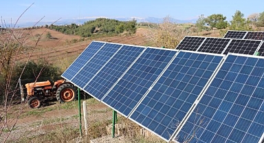 Çukurova'da tarımsal üretime 