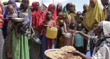 Dünya gıda fiyatları Kasım'da değişmedi