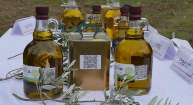 Edremit Körfezi'nin zeytinyağında gıda güvenliğini sağlamak için karekod uygulamasına geçildi