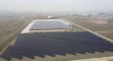 Erzincan'daki fabrikada atık orman ürünleri 