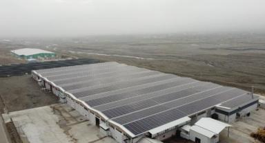 Ezincan'daki fabrikada atık orman ürünleri 