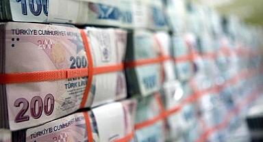 Hazine 2 tahvil ihalesinde 28,1 milyar lira borçlandı