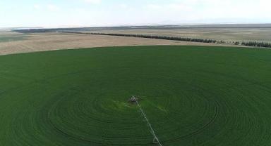 Hazine'ye ait 1,3 milyar metrekare tarım arazisi 80 bin çiftçiye kiralandı