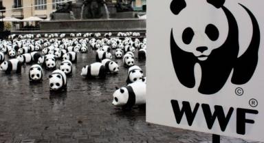 İklim hedeflerine ulaşmanın maliyeti artıyor