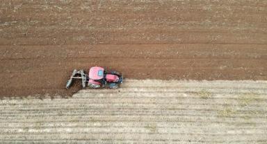 Kasım yağışları hububattaki kuraklık riskini azalttı