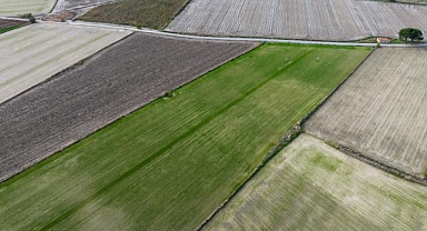 Kasım yağmurları Ege'de çiftçinin yüzünü güldürdü