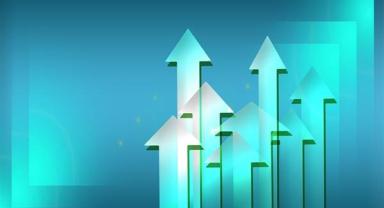 Şeker Yatırım'ın halka arz sonuçları