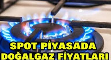 Spot piyasada doğal gaz fiyatları