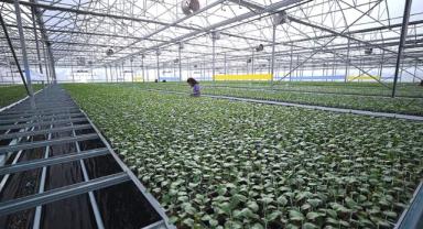 Tarıma dayalı yatırımlarda hibeye esas proje tutarı üst limitleri yükseltildi