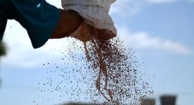 Tarımda yoğun kimyasal kullanımı toprağa zarar veriyor