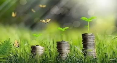 TSKB, TÜRKİYE YEŞİL FONU İÇİN DÜNYA BANKASI İLE 155 MİLYON ABD DOLARI TUTARINDA ANLAŞMA İMZALADI