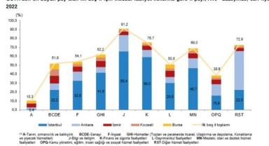TÜİK-Toplam gelirde İstanbul, kişi başına gelirde Kocaeli birinci