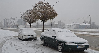 Van ve Hakkari'de kar ve sis etkili oldu