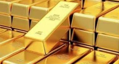 Yatırımcı rehberi (2)