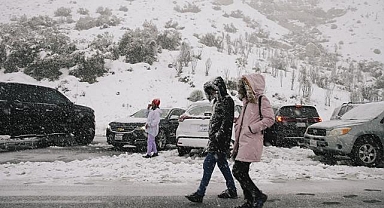 ABD'de bazı eyaletlerde kar yağışı etkili oldu