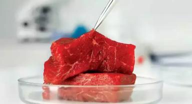 Bakan Yumaklı açıkladı: Yapay et üretimine izin verilmesi asla söz konusu değil