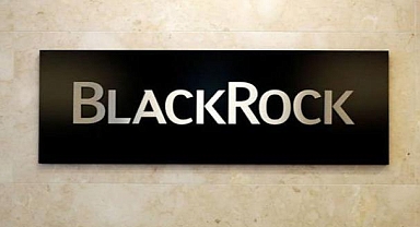 BlackRock, çalışanlarının yüzde 3'ünü işten çıkarıyor