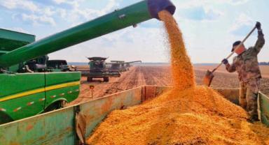 Çin, kişi başına 400 kg’lık tahıl verimini 490’a çıkardı