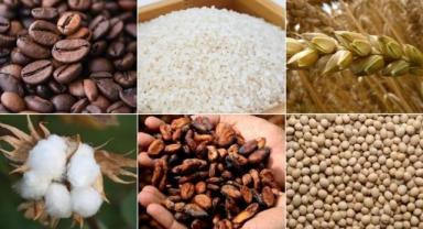 Emtia piyasası Çin kaynaklı iyimserlikle geçen hafta pozitif seyretti