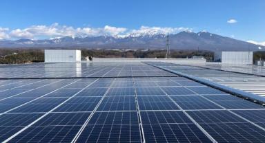 Epson tüm dünyada %100  yenilenebilir enerjiye geçti