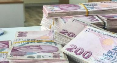 Hazine nakit gerçekleşmeleri