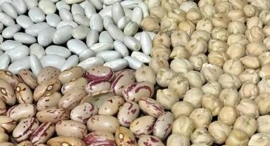 Hububat, bakliyat ve yağlı tohumda Ege'den 1,2 milyar dolar ihracat hedefi