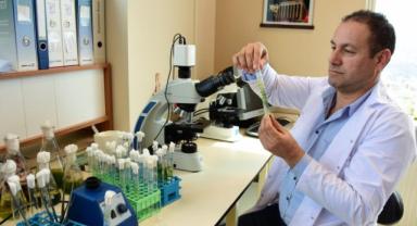 MAKÜ'de mikroalgten yüksek proteinli kanatlı hayvan yemi üretilecek