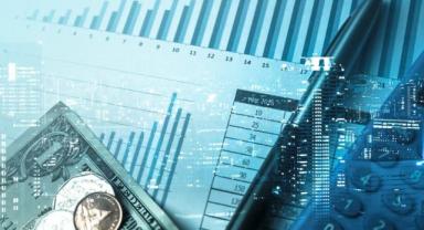 Ödemeler dengesi (2)