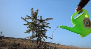 Ormancılık yatırımlarında fidan üretimine odaklanıldı