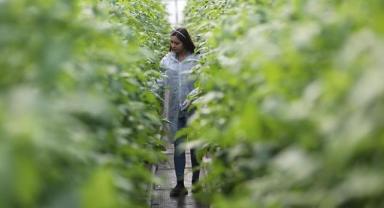 Pazarcılar kurdukları serayla hem üretime hem de kadın istihdamına katkı sağlıyor