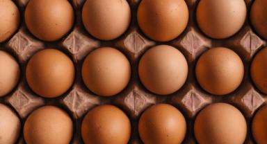 Rusya'nın Türkiye'den ithal ettiği yumurtalar ülkeye ulaştı