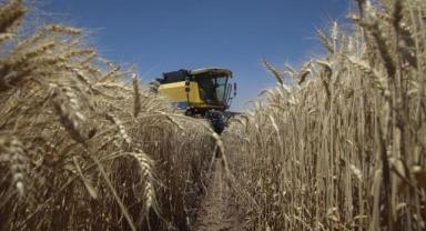 Tarım ÜFE Aralık 2023'te aylık yüzde 6,34, yıllık yüzde 52,66 arttı