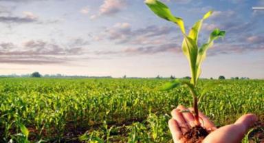 Tarımsal yayım ve danışmanlık desteği bu yıl için 144 bin lira olarak belirlendi