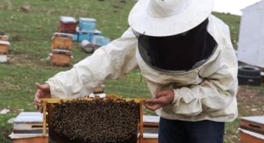 Türkiye 2023'te bal ihracatından yaklaşık 32 milyon dolar kazandı