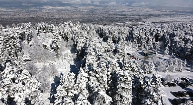 Türkiye'de en soğuk gece eksi 18,3 dereceyle Bolu'da yaşandı