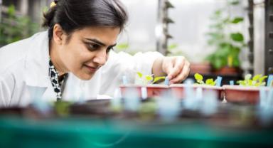 Türkiye ve Birleşik Krallık arasındaki bilim ortaklıkları ve araştırma iş birlikleri için 100 bin Sterlin fon desteği