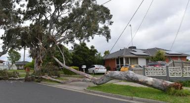 Avustralya'nın Victoria eyaletindeki fırtına nedeniyle binlerce kişi elektriksiz kaldı
