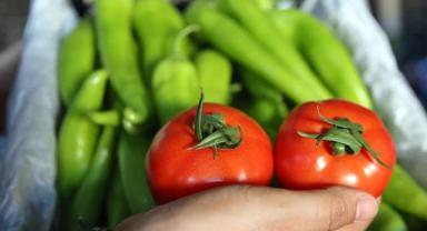 Batı Akdeniz'in ocak ayı ihracat gelirinin dörtte biri domates, biber ve hıyardan