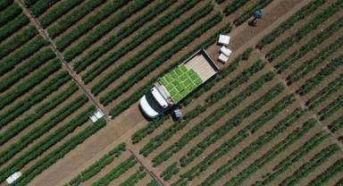 Çiftçilere 50,9 milyon liralık tarımsal destek ödemesi bugün yapılacak