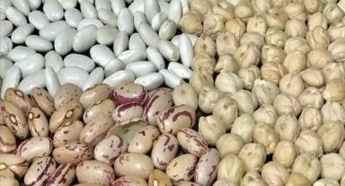 Çin, Mısır ve Rusya menşeli BOPP film ithalatına soruşturma açıldı