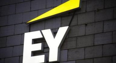 EY, ESG ve sürdürülebilirlik danışmanlığı alanında 2024 küresel pazar lideri oldu