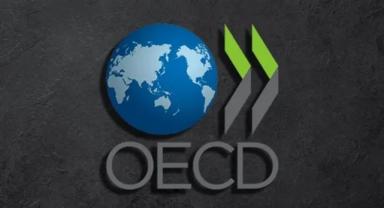OECD bölgesinde ekonomi 2023'ün son çeyreğinde yüzde 0,4 büyüdü