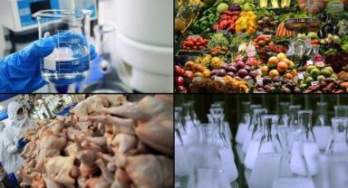 Rekabet Kurulu en çok kimya ve gıda sektörlerindeki soruşturmaları cezayla sonuçlandırdı