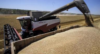 Rusya, Afrika'daki bazı ülkelere bedelsiz 200 bin ton tahıl sevkiyatı yaptı